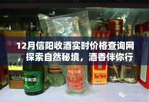 信阳收酒实时价格查询网,酒香引领探索自然,启程内心的宁静与平和之旅