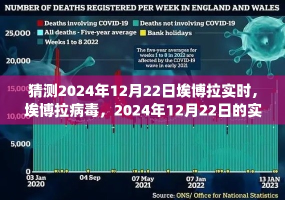 埃博拉病毒实时洞察,2024年12月22日的回顾与影响分析