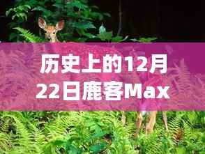 鹿客Max实时监控技术里程碑事件,历史上的12月22日回顾
