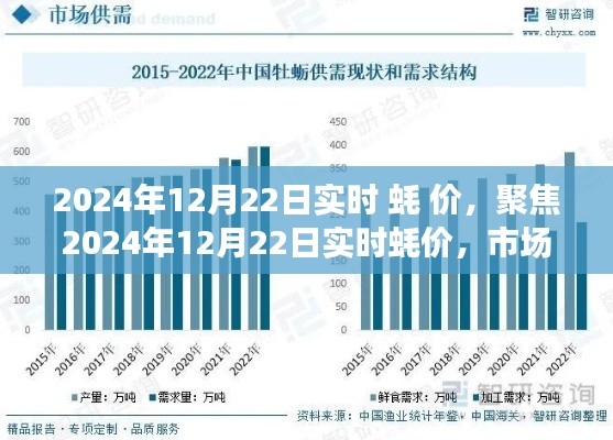 聚焦2024年12月22日实时蚝价，市场走势、影响因素及未来展望分析