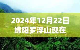 2024年12月22日绵阳罗浮山天气实时报告与深度解析