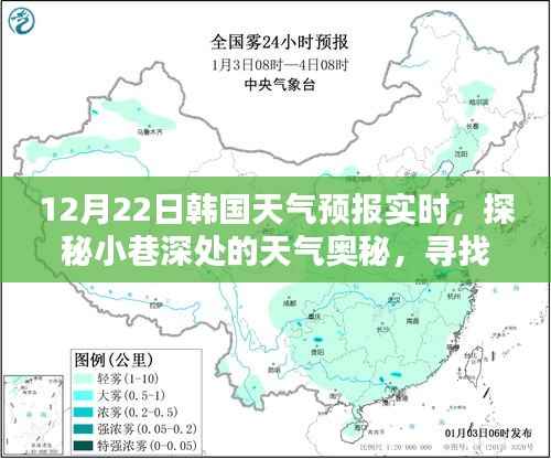 韩国冬日风情探秘,小巷深处的特色小店与天气预报实时体验之旅