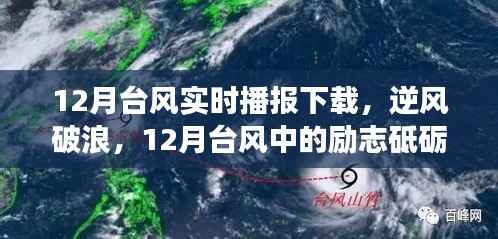 12月台风中的逆风破浪与梦想之旅，实时播报下的励志前行