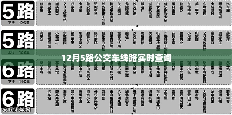 12月公交车实时查询系统,5路车线路动态掌握