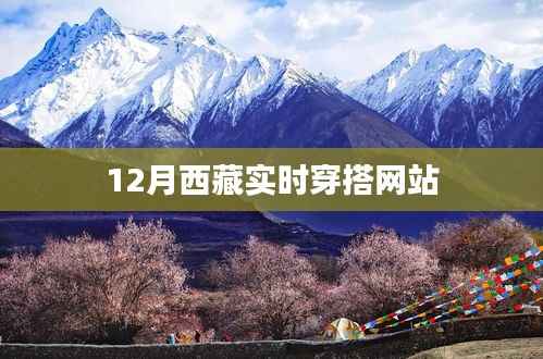 引锥刺股 第3页