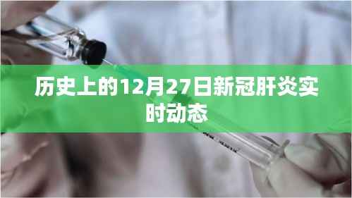 历史上的新冠肝炎实时动态，聚焦十二月二十七日进展