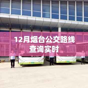 风度翩翩 第3页