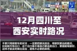 四川至西安实时路况直播，一路畅行还是波折？