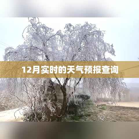 最新天气预报查询服务,实时掌握天气动态