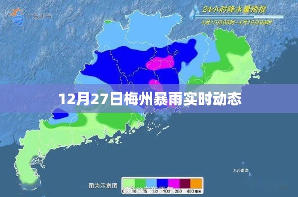 梅州暴雨实时更新，最新动态与预警信息