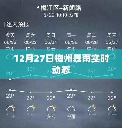 梅州暴雨实时更新,最新动态与预警信息