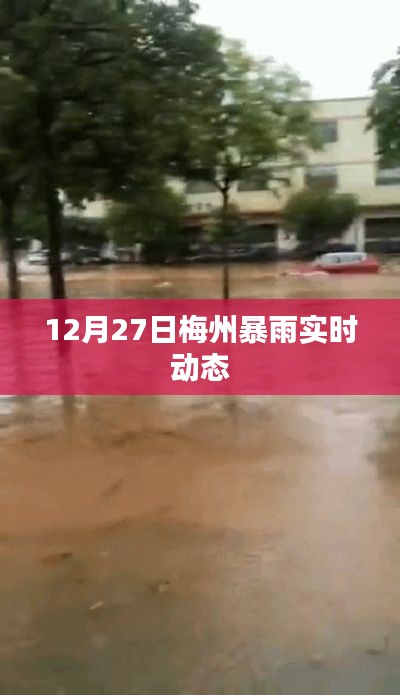 梅州暴雨实时更新,最新动态与预警信息
