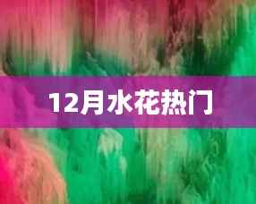 水花狂欢季，12月热门活动盘点
