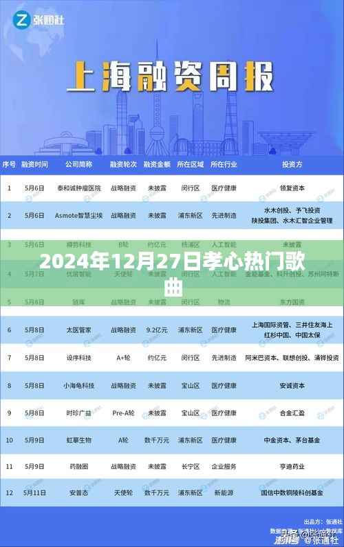 孝心永恒，2024年热门歌曲回顾