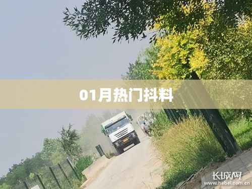 精选抖料，一月热门内容大放送