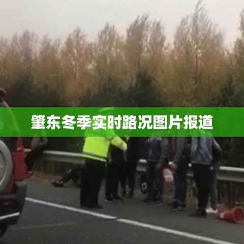 披肝沥胆 第3页