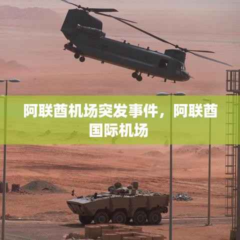 阿联酋机场突发事件，阿联酋国际机场 