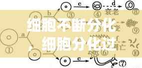 荣华富贵 第3页