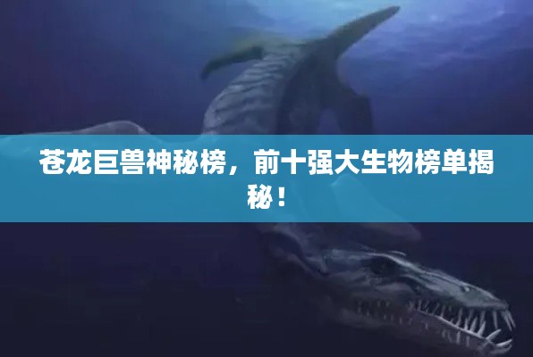 苍龙巨兽神秘榜,前十强大生物榜单揭秘!