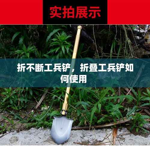 折不断工兵铲,折叠工兵铲如何使用