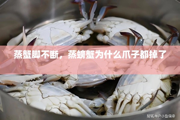 粗枝大叶 第3页