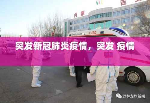 突发新冠肺炎疫情,突发 疫情