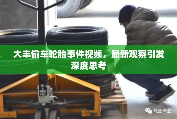 大丰偷车轮胎事件视频,最新观察引发深度思考