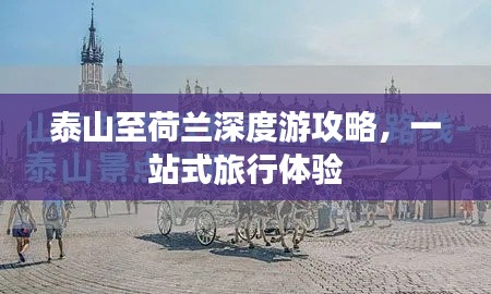 泰山至荷兰深度游攻略，一站式旅行体验