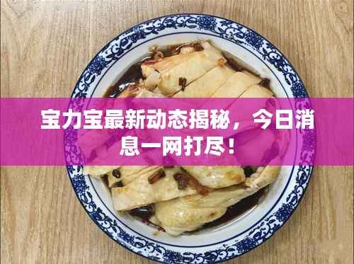 宝力宝最新动态揭秘，今日消息一网打尽！