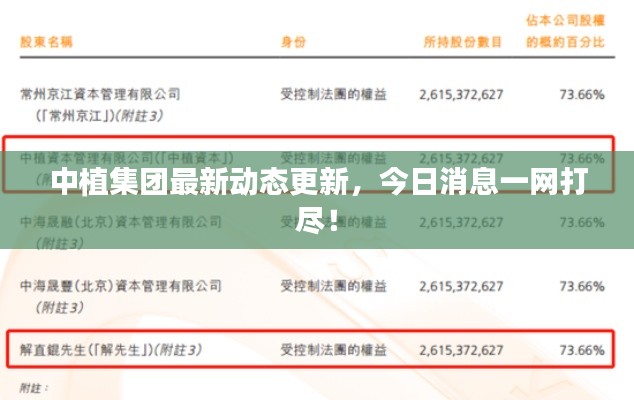 中植集团最新动态更新，今日消息一网打尽！