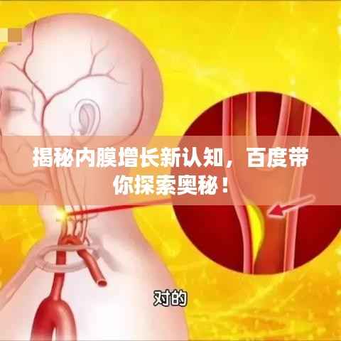 揭秘内膜增长新认知,百度带你探索奥秘!