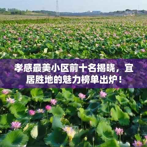 孝感最美小区前十名揭晓，宜居胜地的魅力榜单出炉！