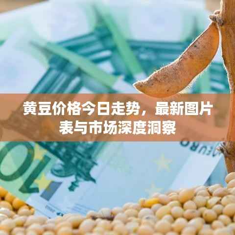 黄豆价格今日走势，最新图片表与市场深度洞察