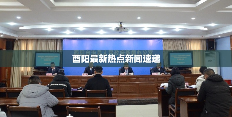 企业优势 第232页