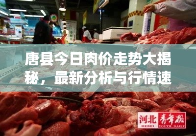 唐县今日肉价走势大揭秘,最新分析与行情速递