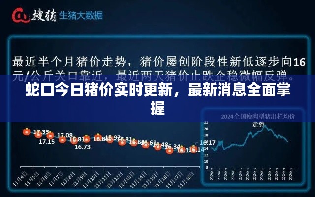 蛇口今日猪价实时更新，最新消息全面掌握