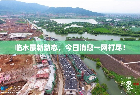 临水最新动态，今日消息一网打尽！