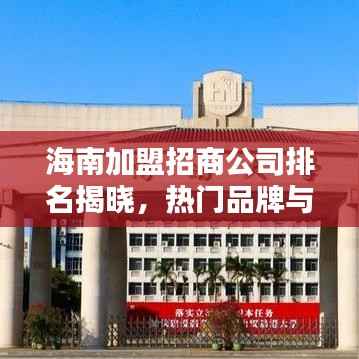 海南加盟招商公司排名揭晓，热门品牌与优质合作伙伴一网打尽！