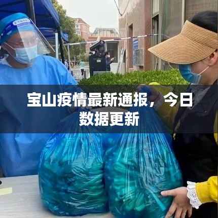 宝山疫情最新通报，今日数据更新