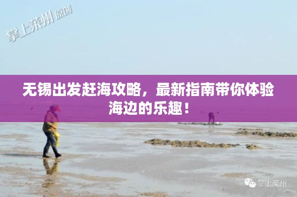 无锡出发赶海攻略，最新指南带你体验海边的乐趣！