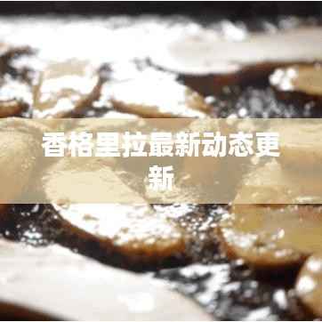 香格里拉最新动态更新