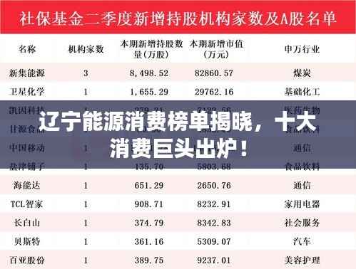 辽宁能源消费榜单揭晓，十大消费巨头出炉！