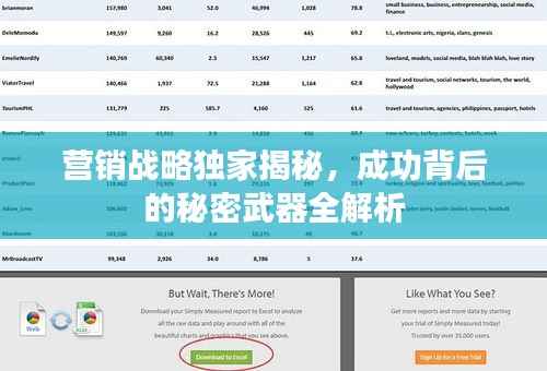 营销战略独家揭秘，成功背后的秘密武器全解析