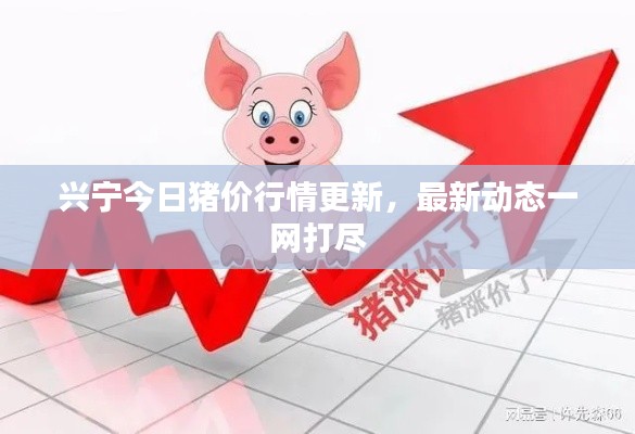 箭拔弩张 第3页