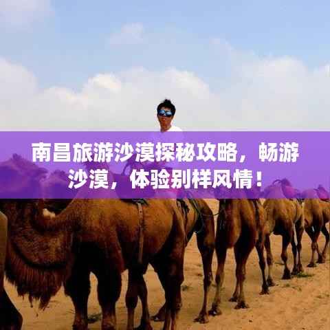 南昌旅游沙漠探秘攻略,畅游沙漠,体验别样风情!