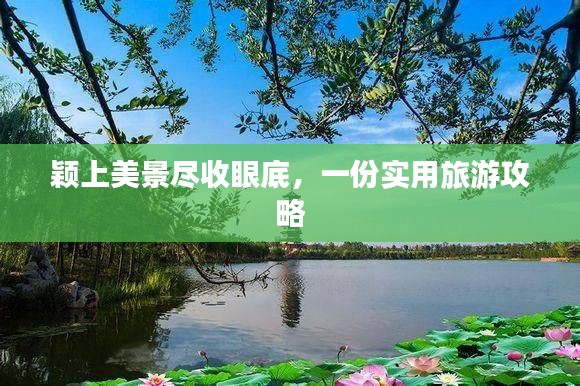 夫妻本是同林鸟 第2页