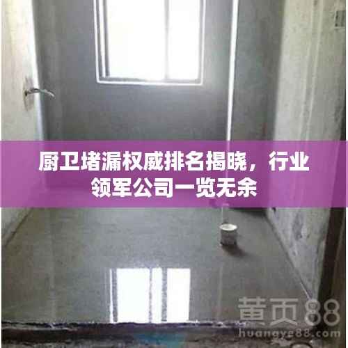 厨卫堵漏权威排名揭晓,行业领军公司一览无余