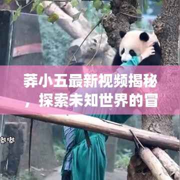 莽小五最新视频揭秘,探索未知世界的冒险之旅