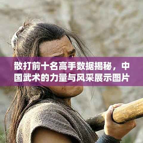 散打前十名高手数据揭秘,中国武术的力量与风采展示图片