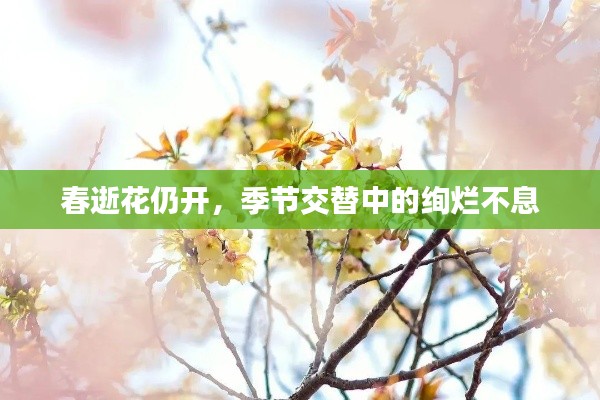 聚精会神 第2页